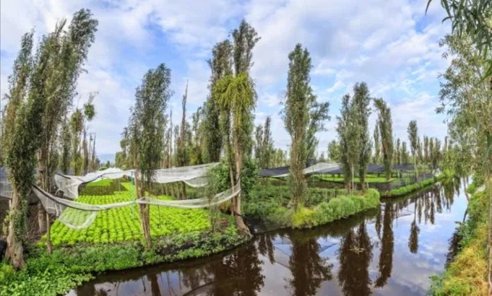 Las Chinampas - patrimonio de la Humanidad